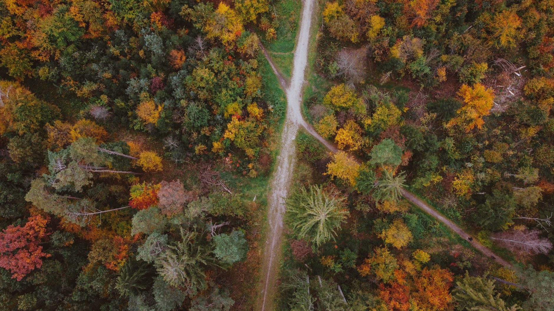 career change professional crossroads