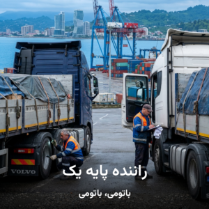 راننده پایه یک